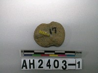 藏品(砝碼型石網墜)的圖片